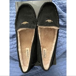 NEW IN BOX NEVER WORN MARLEY SUEDE SLIP ONS